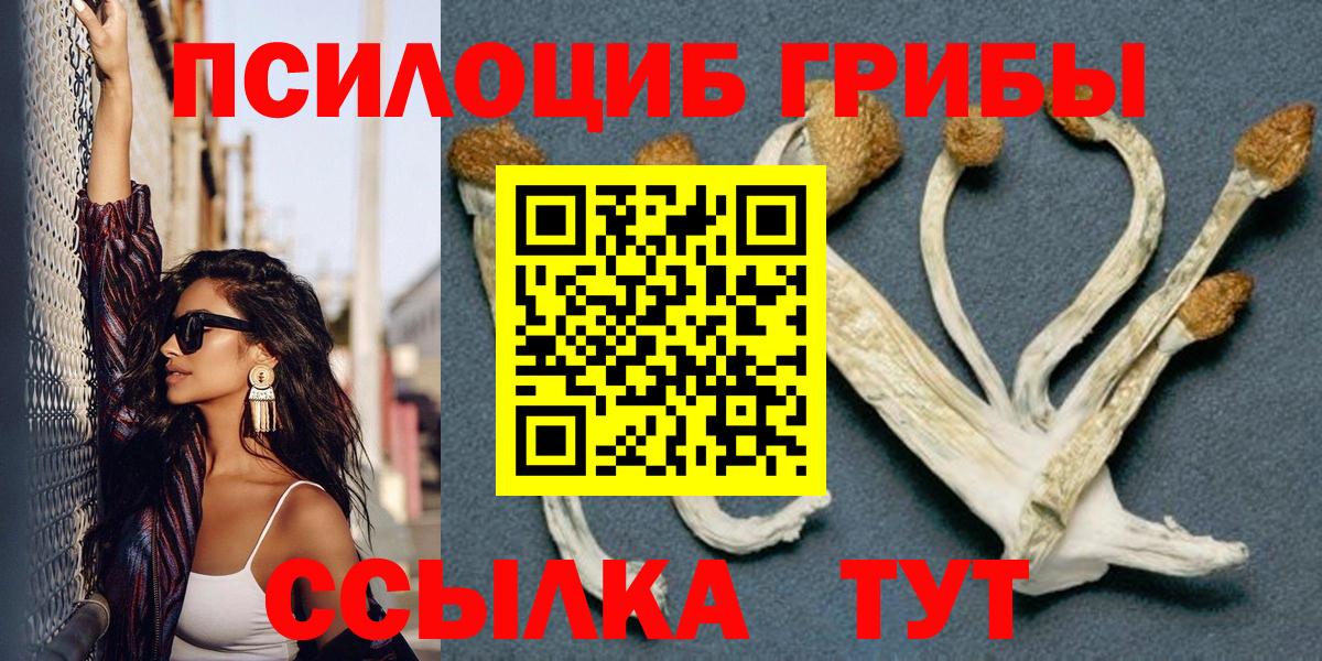 Воскресенск  Псилоцибиновые грибы Psilocybe  Вход с VPN  Псилоцибиновые грибы Psilocybe 